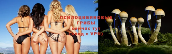 тгк Горняк