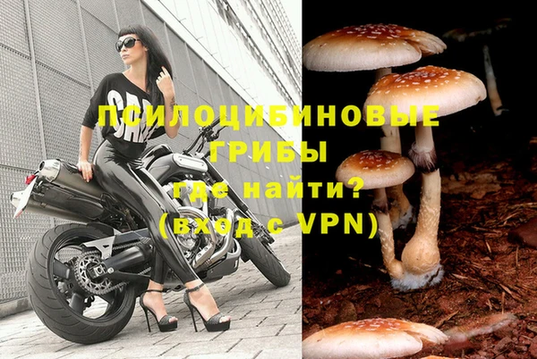 марки nbome Гусиноозёрск