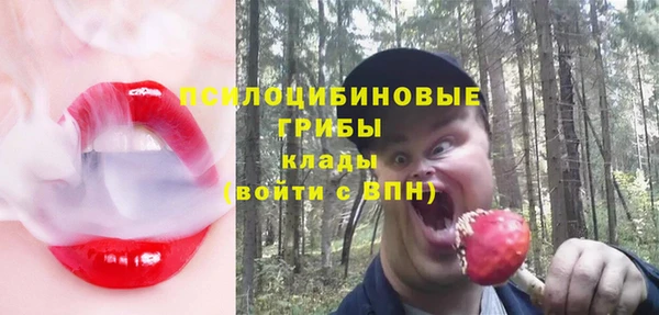 крисы Гусь-Хрустальный