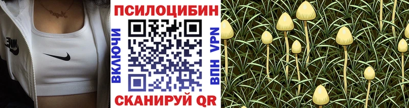 наркота  Шахунья  Галлюциногенные грибы Magic Shrooms 